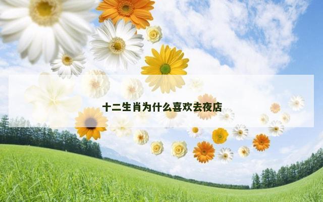 十二生肖为什么喜欢去夜店