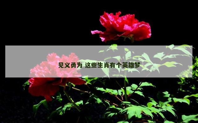 见义勇为 这些生肖有个英雄梦