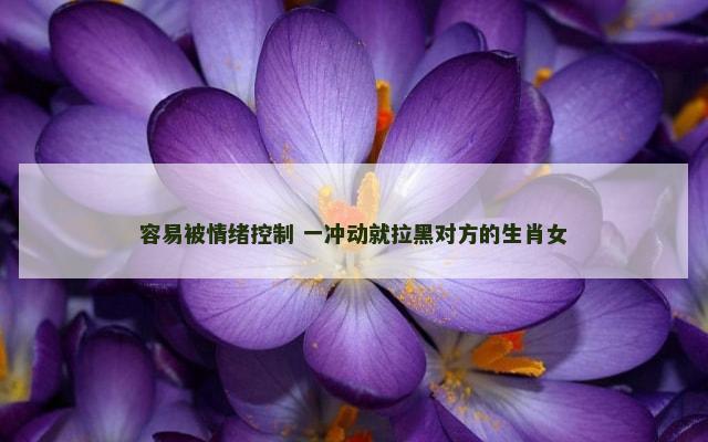 容易被情绪控制 一冲动就拉黑对方的生肖女