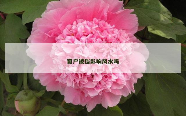 窗户被挡影响风水吗