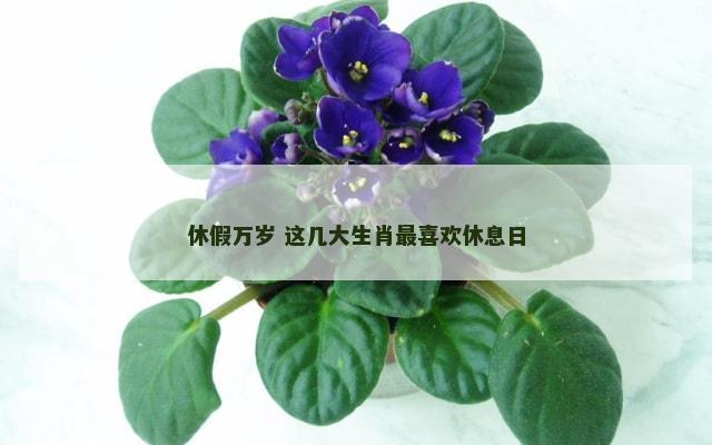 休假万岁 这几大生肖最喜欢休息日