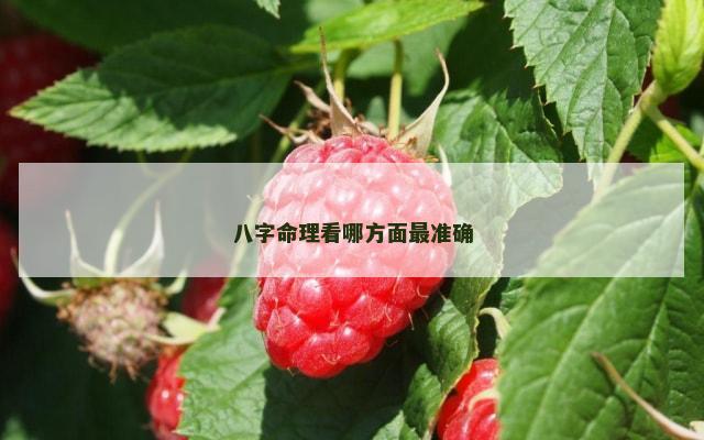 八字命理看哪方面最准确