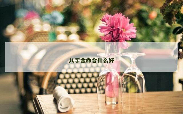 八字金命合什么好