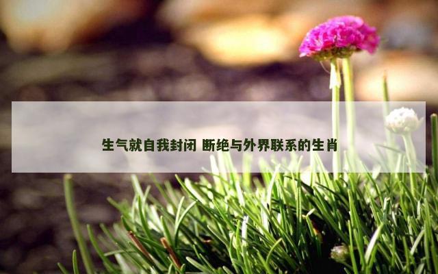 生气就自我封闭 断绝与外界联系的生肖