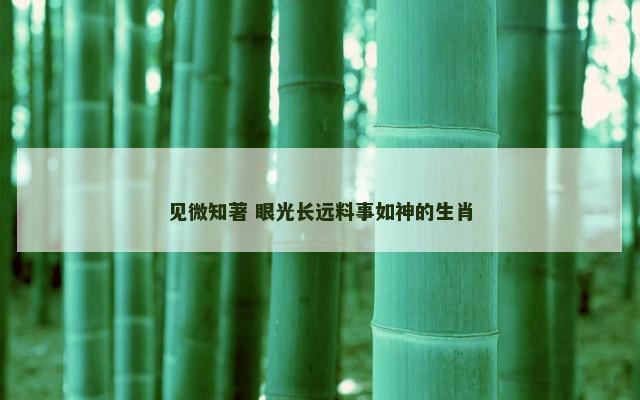 见微知著 眼光长远料事如神的生肖