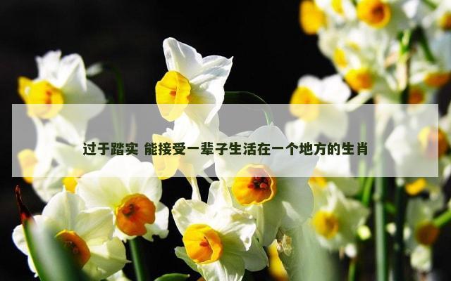 过于踏实 能接受一辈子生活在一个地方的生肖