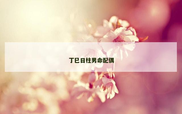 丁巳日柱男命配偶