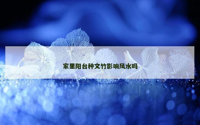 家里阳台种文竹影响风水吗