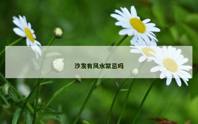 沙发有风水禁忌吗