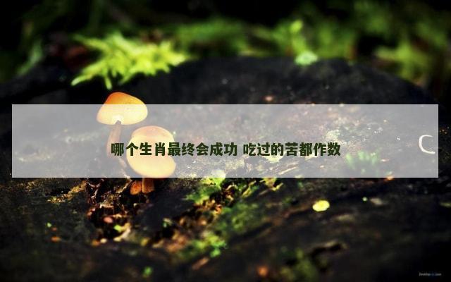 哪个生肖最终会成功 吃过的苦都作数