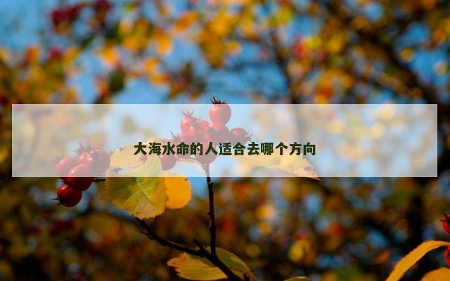 大海水命的人适合去哪个方向