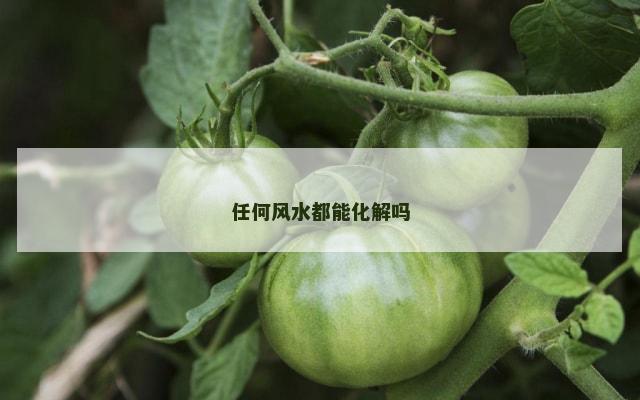 任何风水都能化解吗