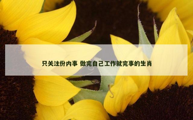 只关注份内事 做完自己工作就完事的生肖