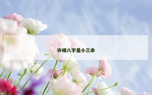 许晴八字是小三命