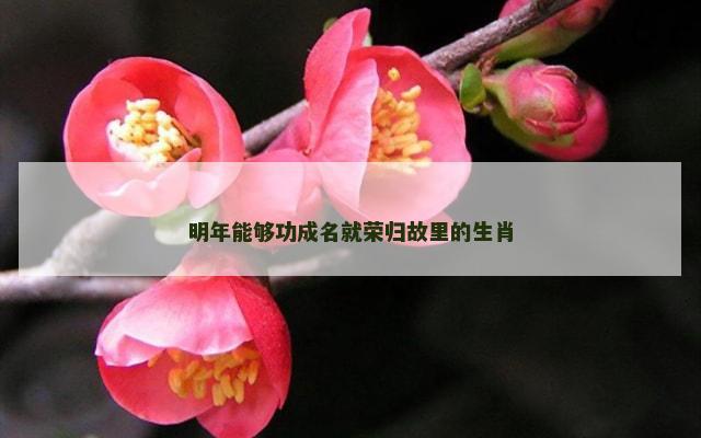 明年能够功成名就荣归故里的生肖
