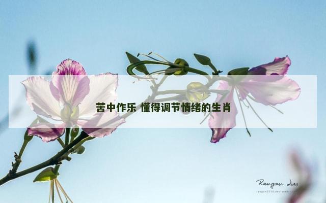 苦中作乐 懂得调节情绪的生肖