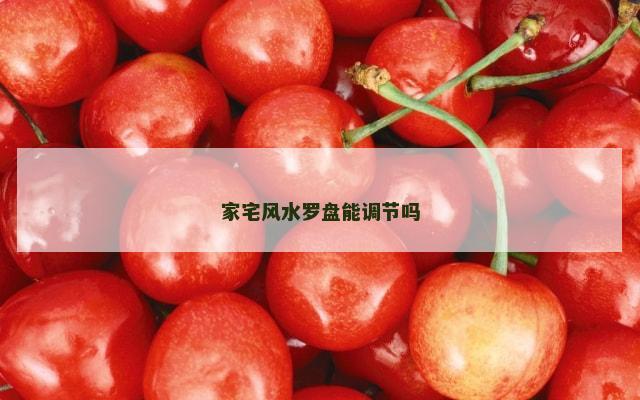 家宅风水罗盘能调节吗