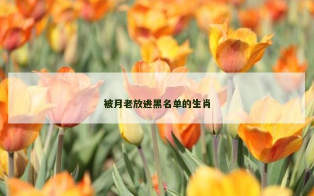 被月老放进黑名单的生肖