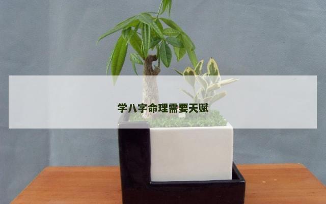 学八字命理需要天赋