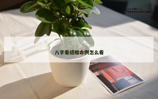 八字看结婚命例怎么看