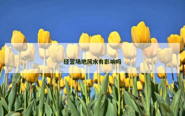 经营场地风水有影响吗