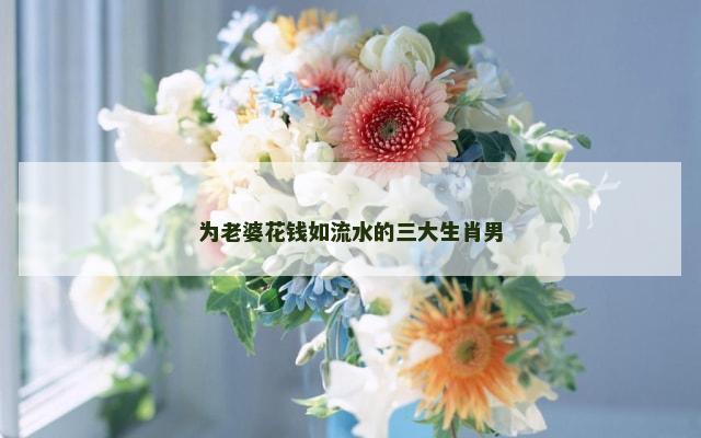 为老婆花钱如流水的三大生肖男