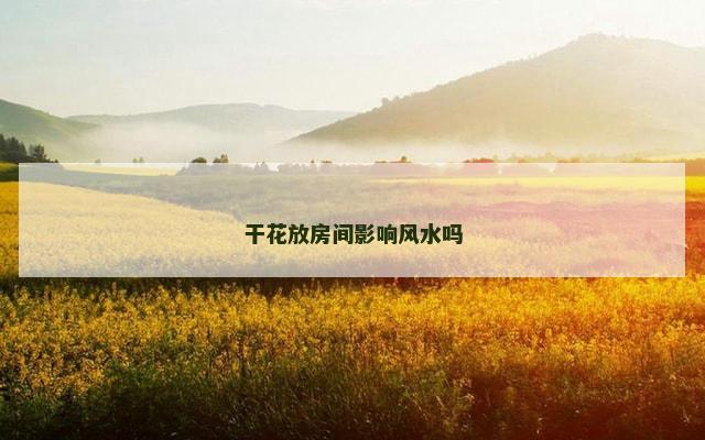 干花放房间影响风水吗