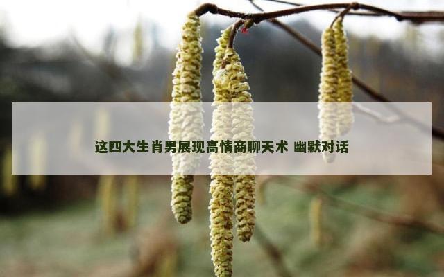这四大生肖男展现高情商聊天术 幽默对话