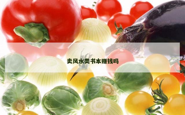 卖风水类书本赚钱吗