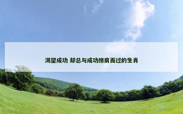 渴望成功 却总与成功擦肩而过的生肖
