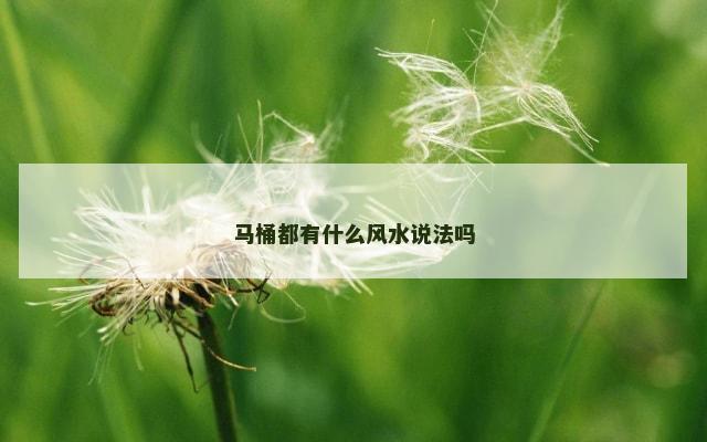 马桶都有什么风水说法吗
