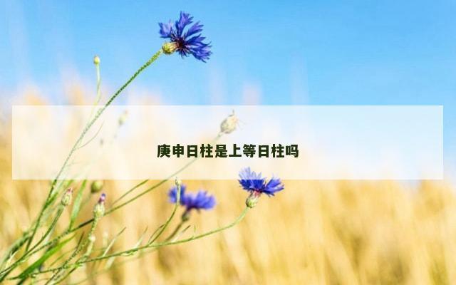庚申日柱是上等日柱吗