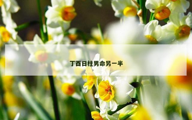 丁酉日柱男命另一半
