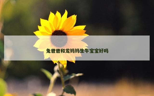 兔爸爸和龙妈妈生牛宝宝好吗