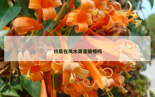 纹眉在风水算是破相吗
