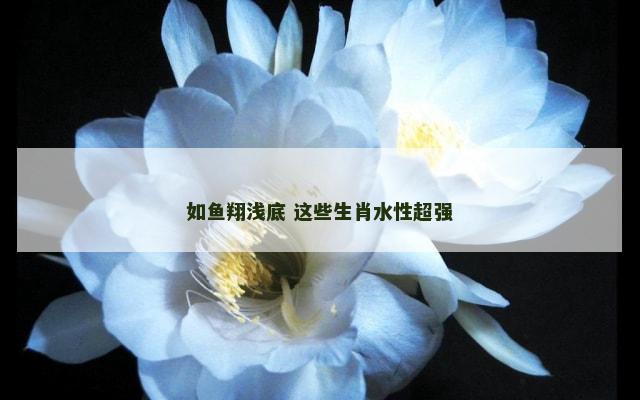 如鱼翔浅底 这些生肖水性超强
