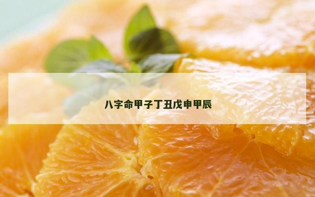 八字命甲子丁丑戊申甲辰