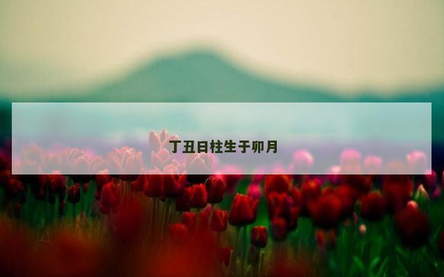 丁丑日柱生于卯月