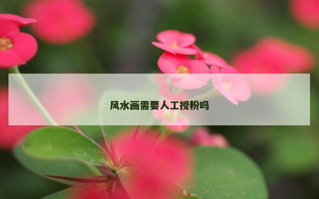 风水画需要人工授粉吗