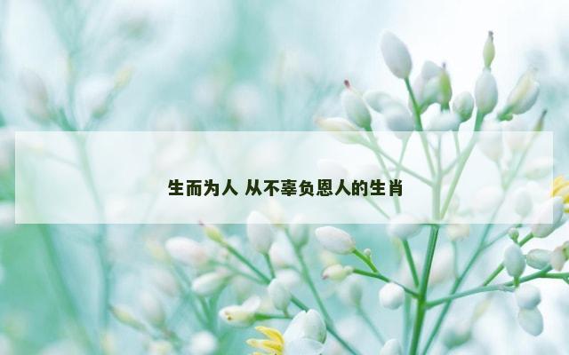 生而为人 从不辜负恩人的生肖