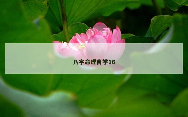 八字命理自学16