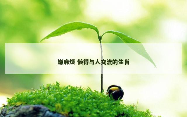 嫌麻烦 懒得与人交流的生肖