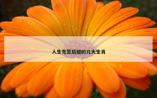 人生先苦后甜的几大生肖
