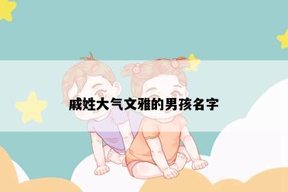 戚姓大气文雅的男孩名字