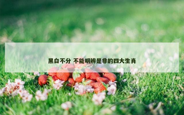 黑白不分 不能明辨是非的四大生肖