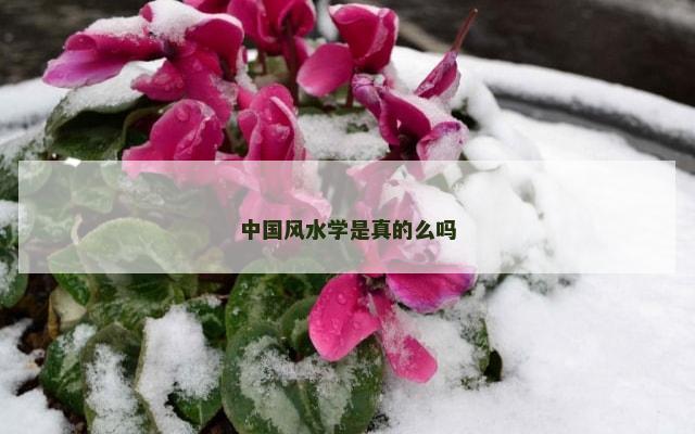 中国风水学是真的么吗