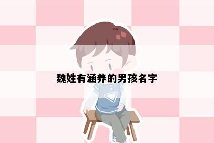 魏姓有涵养的男孩名字