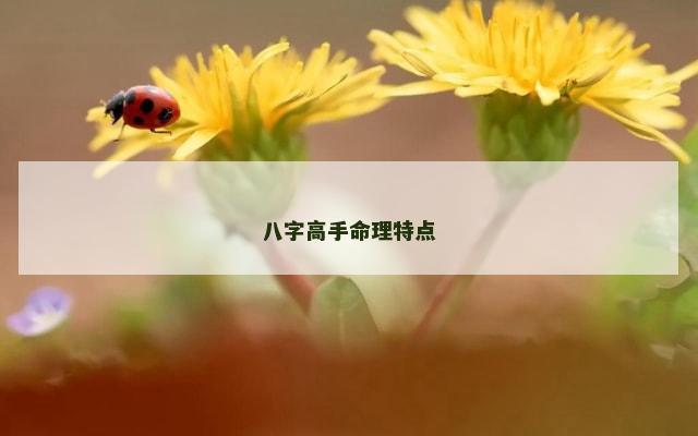 八字高手命理特点