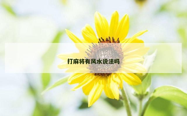 打麻将有风水说法吗
