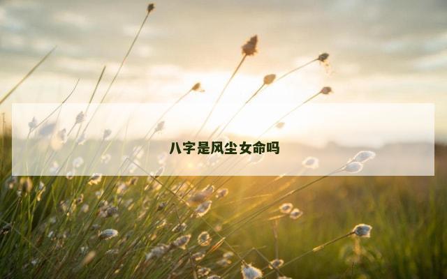 八字是风尘女命吗